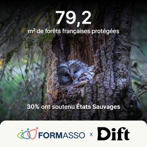 Impact-Protéger les forêts en France
